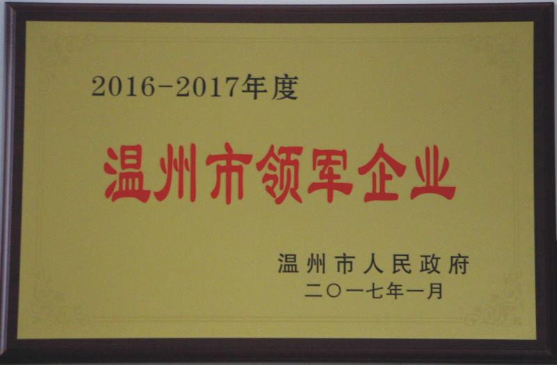 2017年溫州市領(lǐng)軍企業(yè)